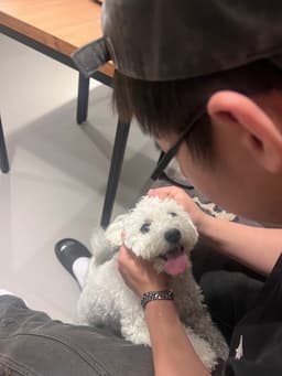 이하영
